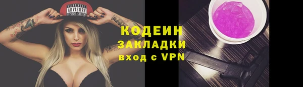 тгк Алзамай