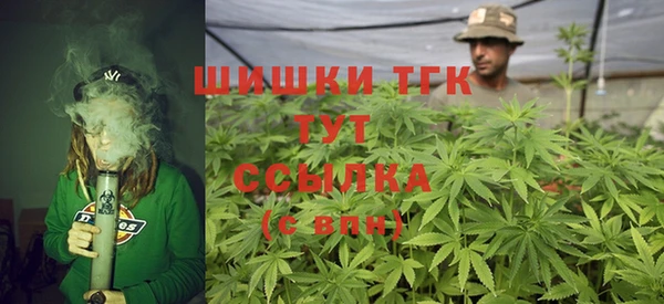 тгк Алзамай