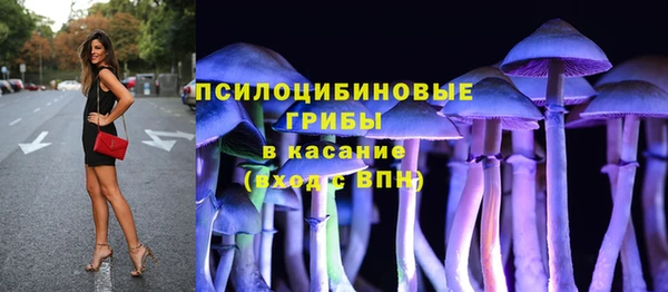 герыч Инта