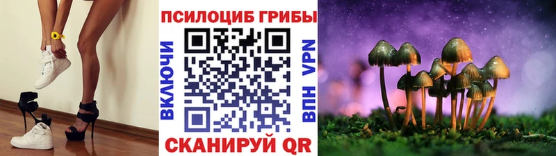 кракен как войти  Бирюсинск  Галлюциногенные грибы мицелий  где найти  